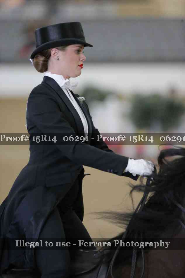 Proof 15R14_06291