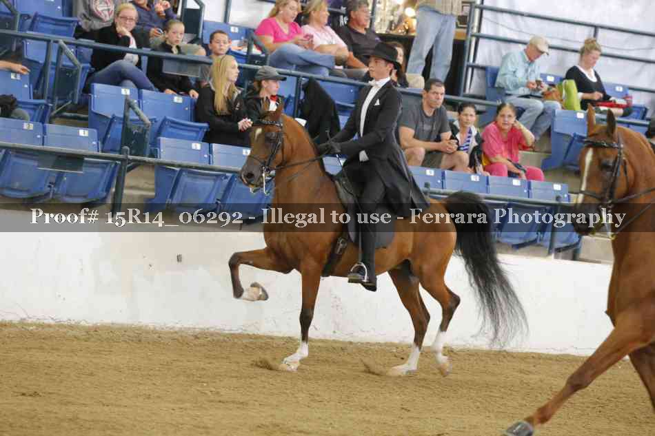 Proof 15R14_06292