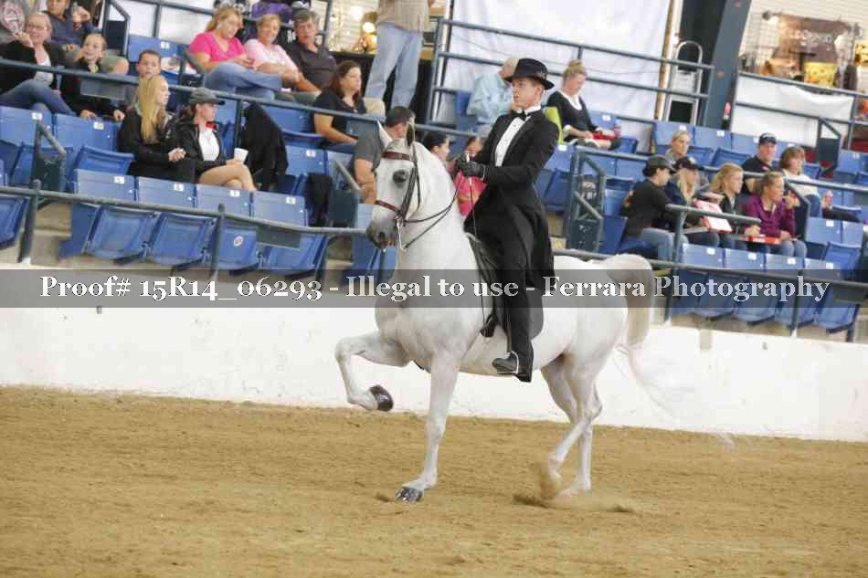 Proof 15R14_06293