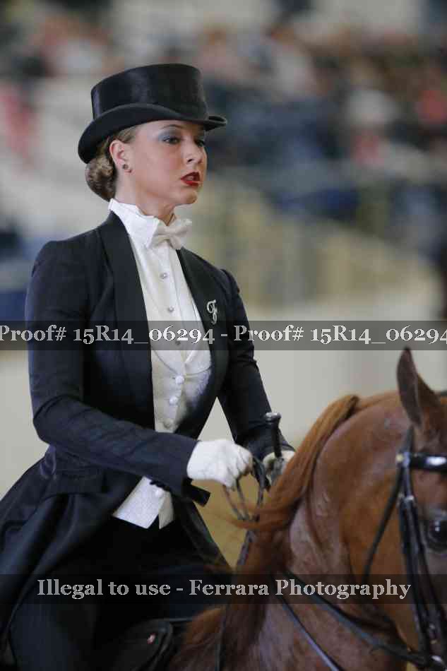 Proof 15R14_06294