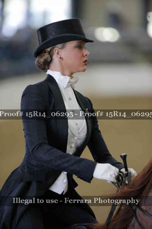 Proof 15R14_06295