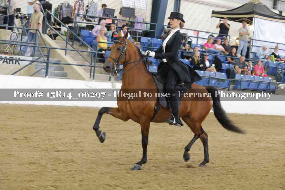 Proof 15R14_06297