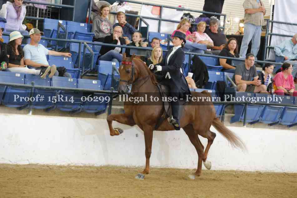 Proof 15R14_06299