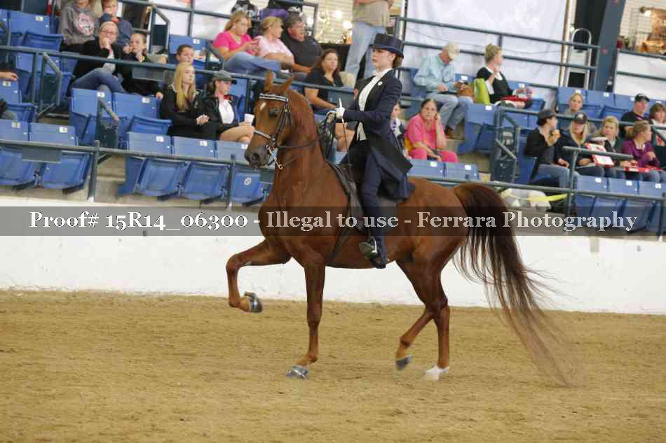 Proof 15R14_06300