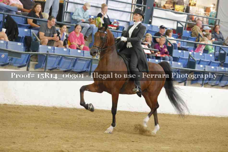 Proof 15R14_06301