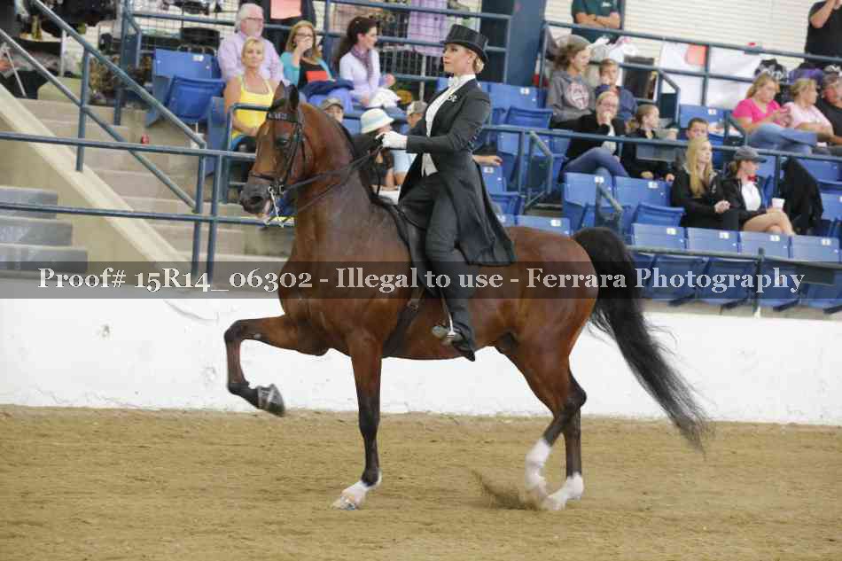 Proof 15R14_06302