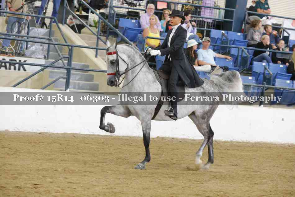 Proof 15R14_06303