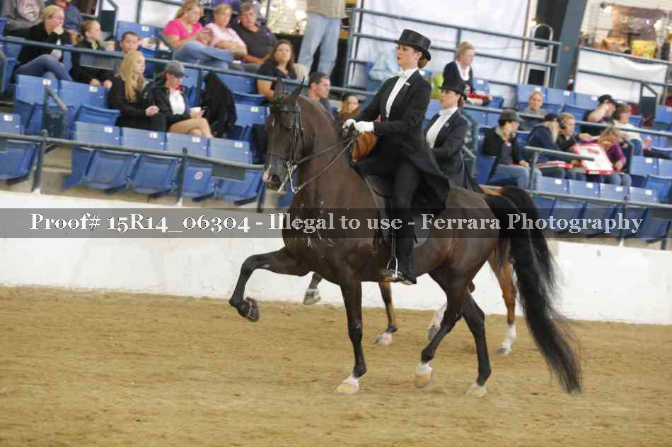 Proof 15R14_06304