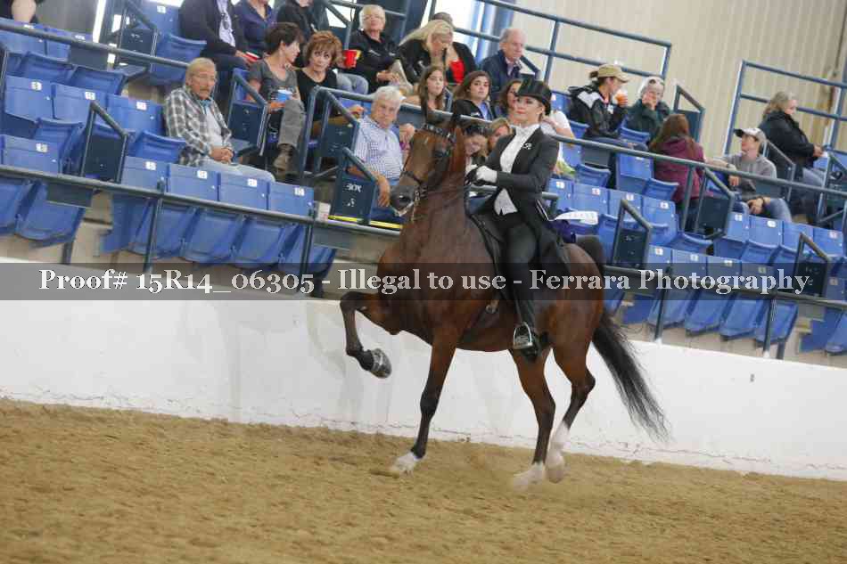 Proof 15R14_06305