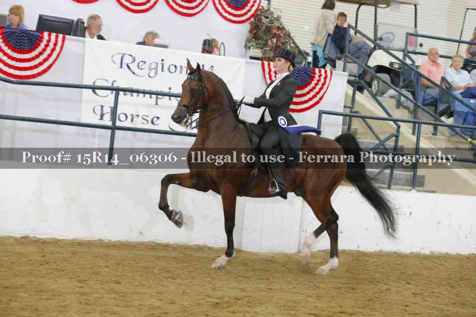 Proof 15R14_06306