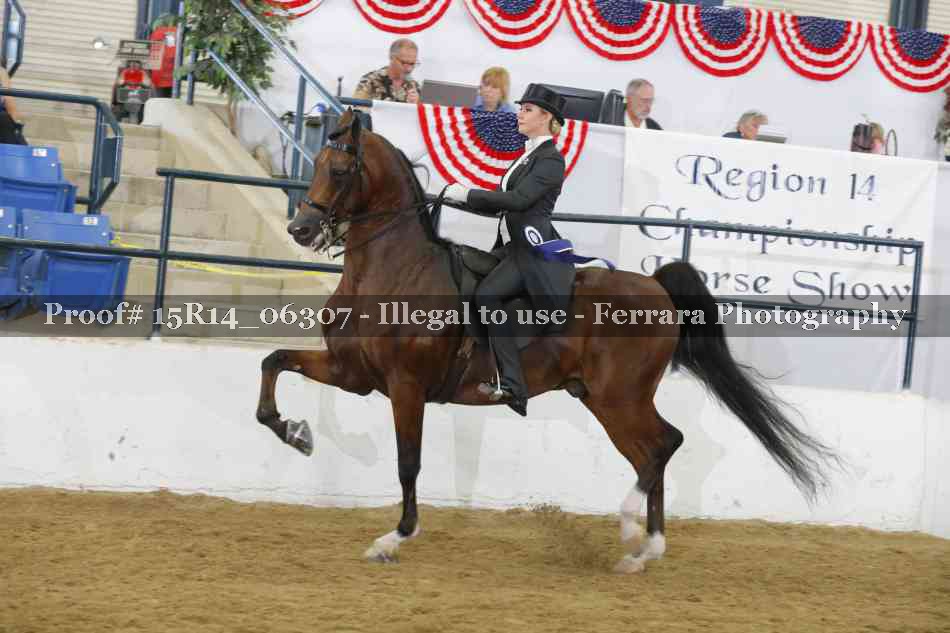 Proof 15R14_06307