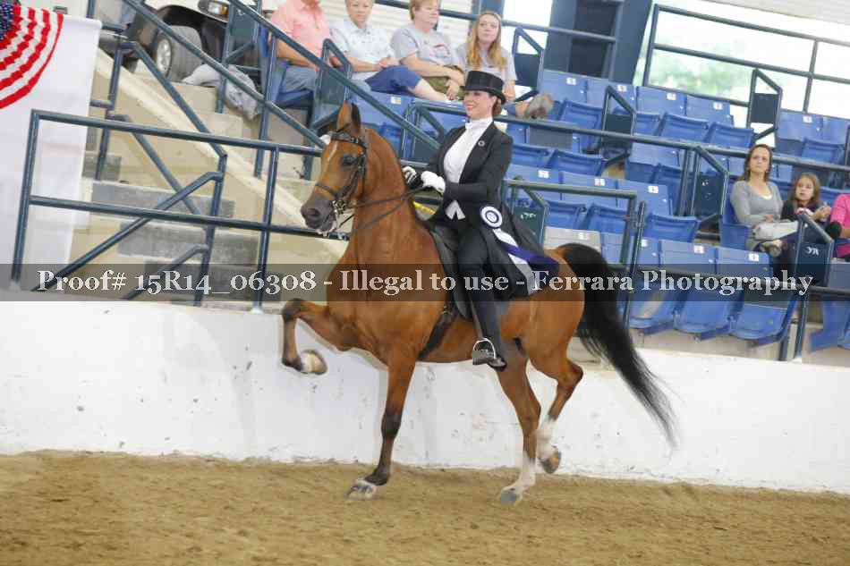 Proof 15R14_06308