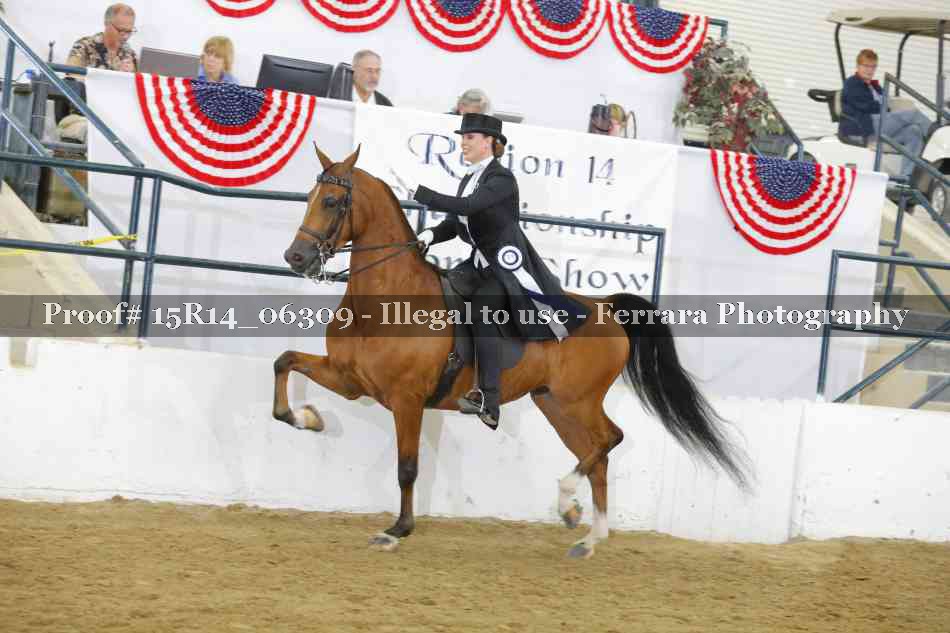Proof 15R14_06309