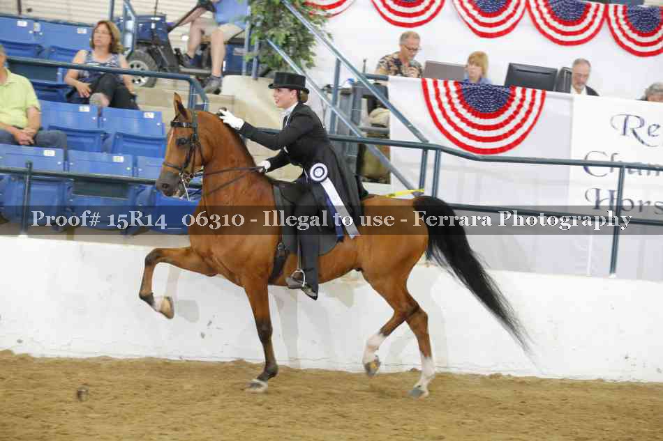 Proof 15R14_06310