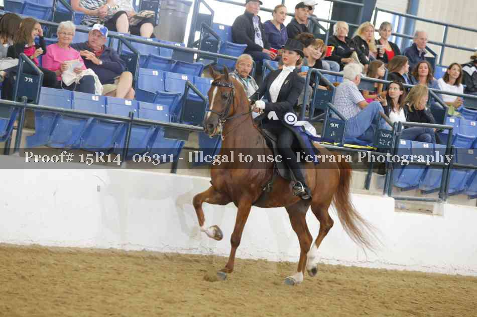 Proof 15R14_06311