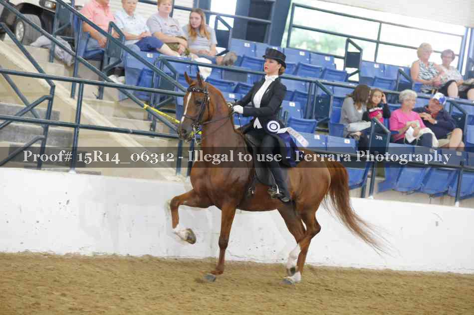 Proof 15R14_06312
