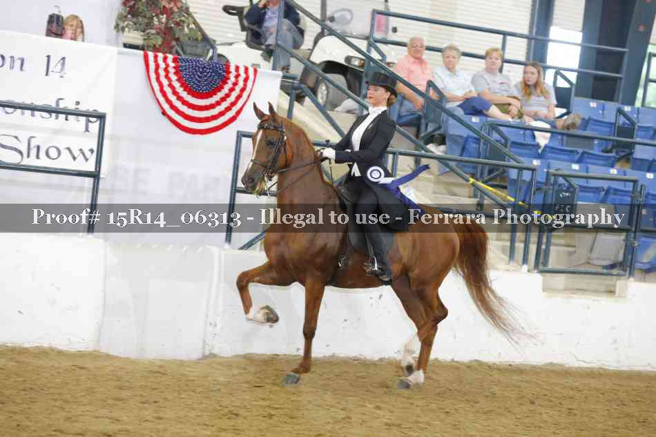 Proof 15R14_06313