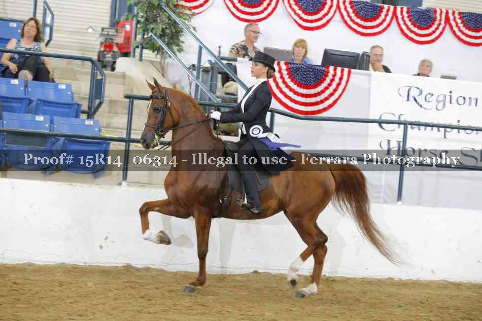 Proof 15R14_06314
