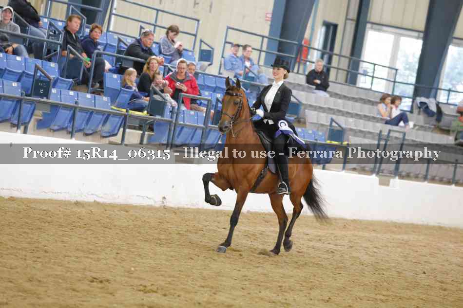 Proof 15R14_06315