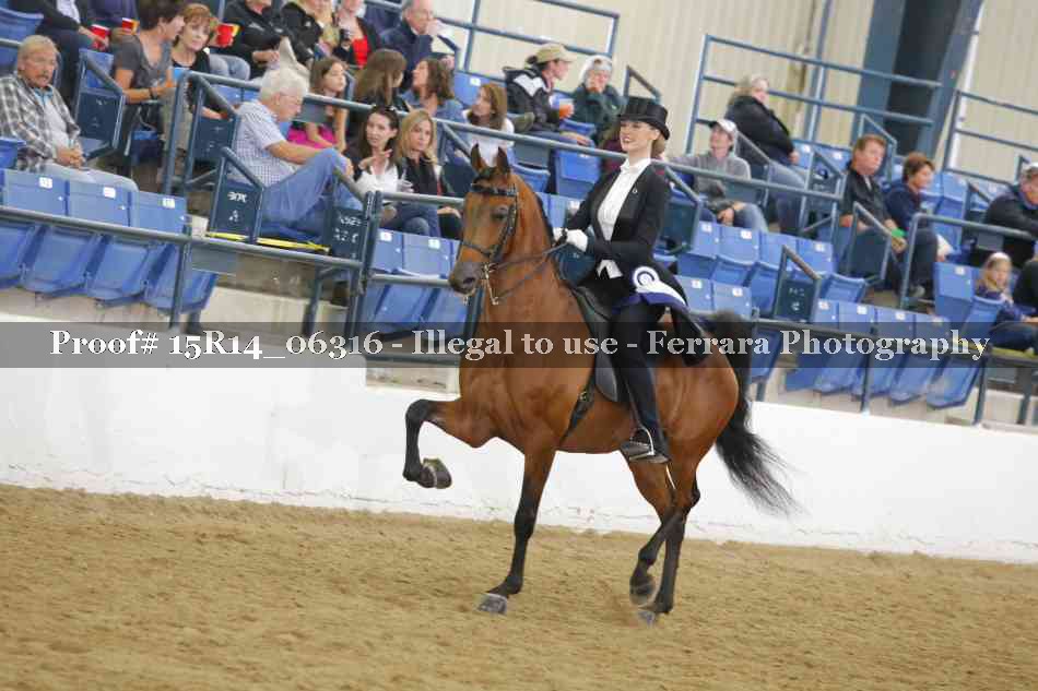 Proof 15R14_06316