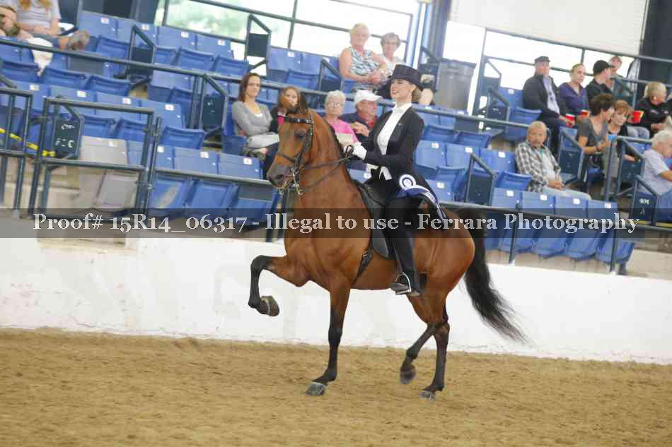 Proof 15R14_06317