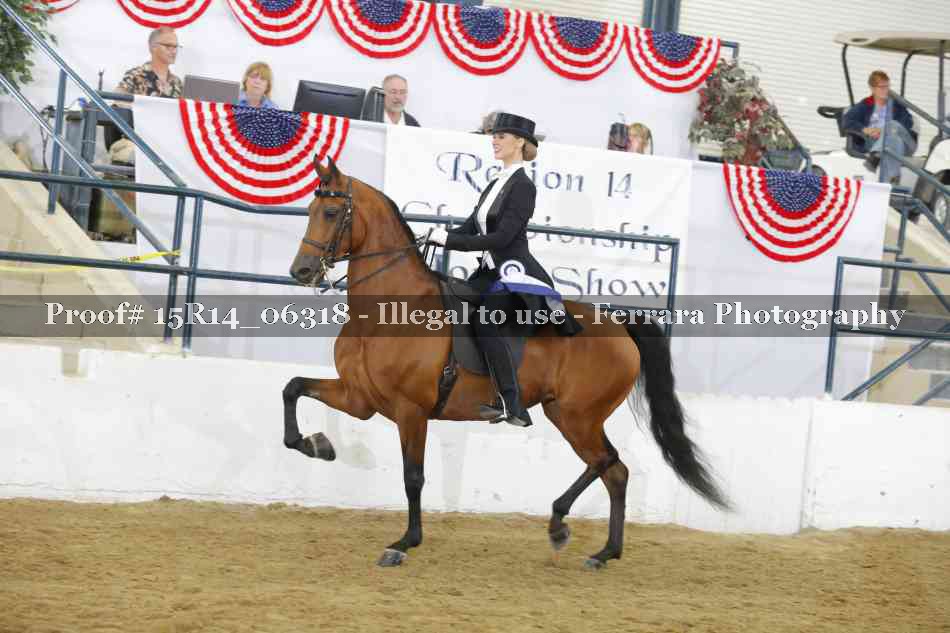 Proof 15R14_06318