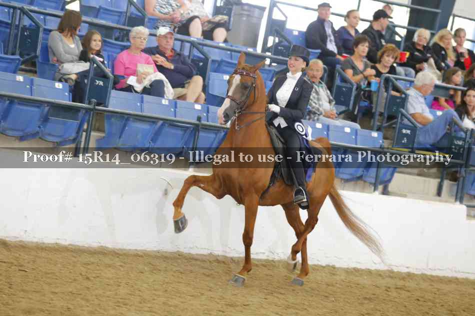 Proof 15R14_06319