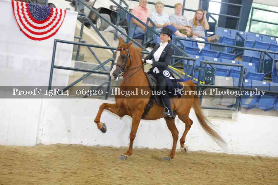 Proof 15R14_06320