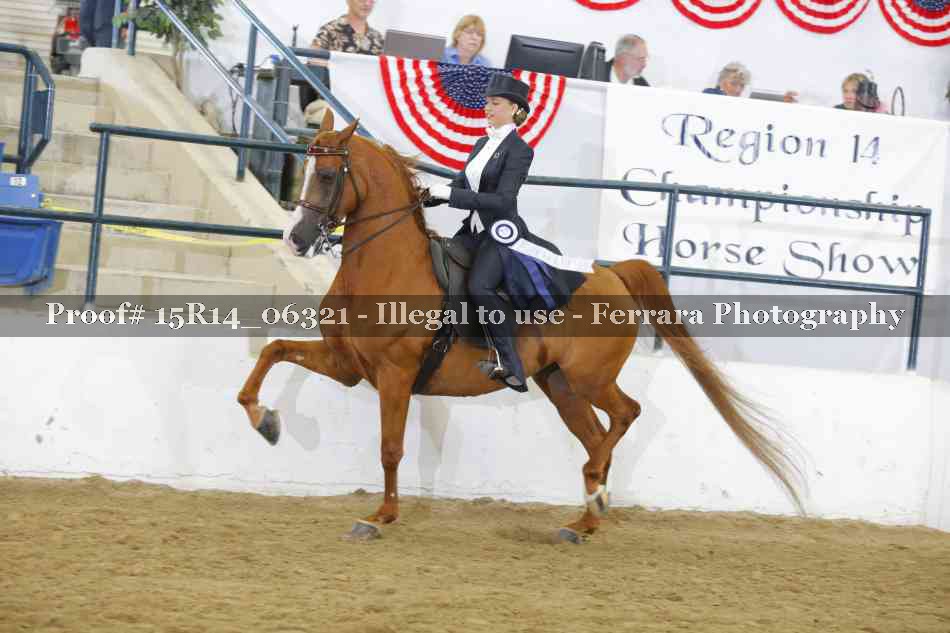 Proof 15R14_06321