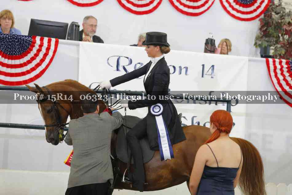 Proof 15R14_06323