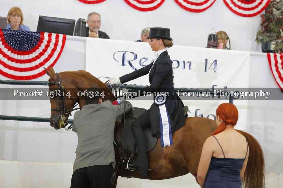 Proof 15R14_06324