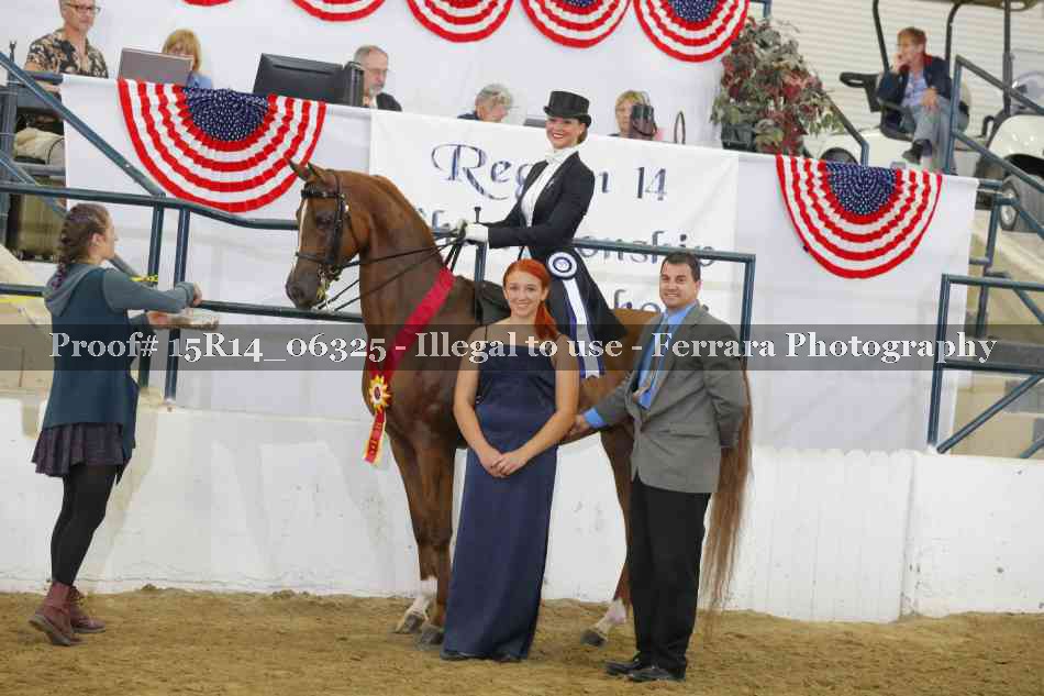 Proof 15R14_06325