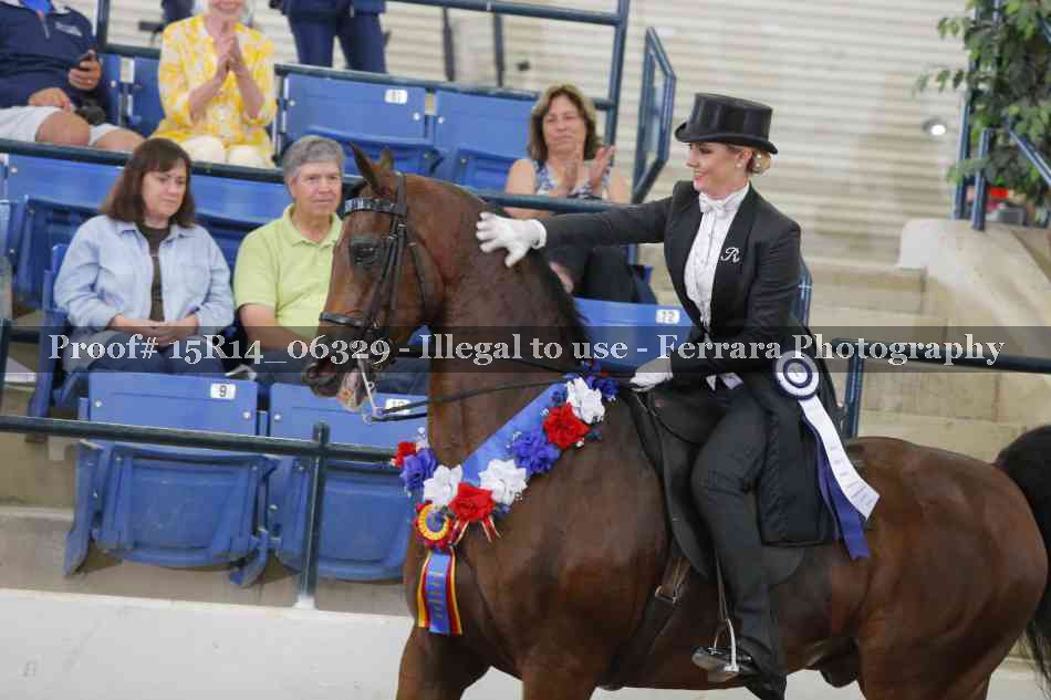 Proof 15R14_06329