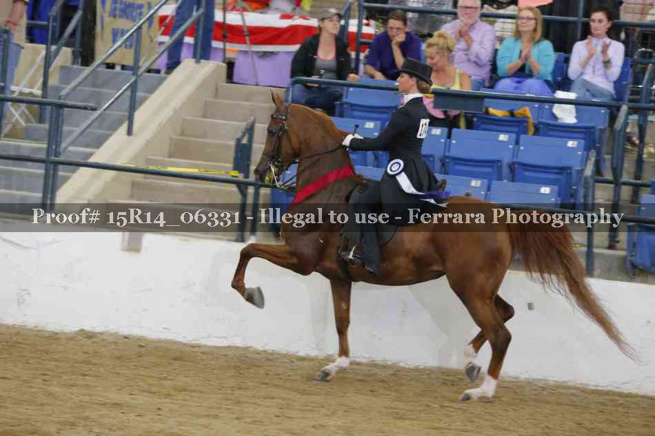 Proof 15R14_06331