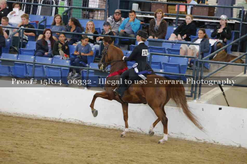 Proof 15R14_06332