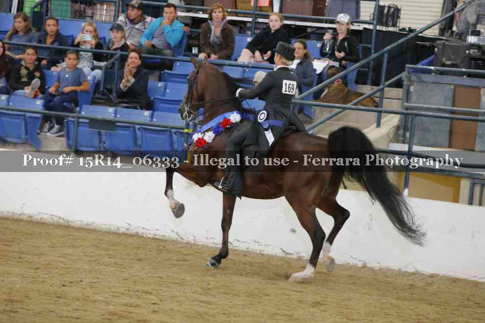 Proof 15R14_06333