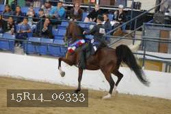 15R14_06333 proof