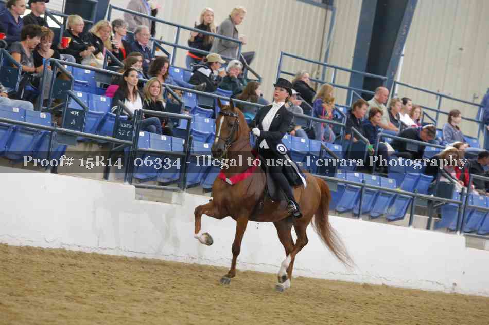 Proof 15R14_06334