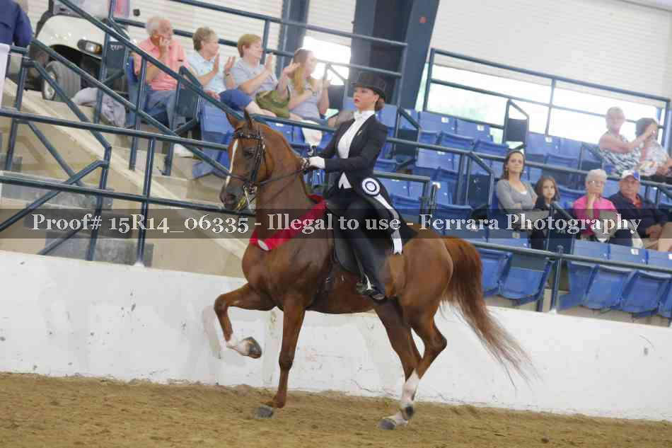 Proof 15R14_06335