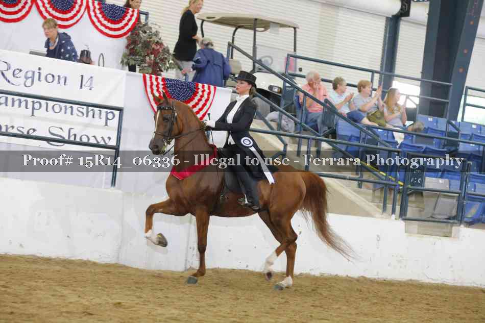 Proof 15R14_06336