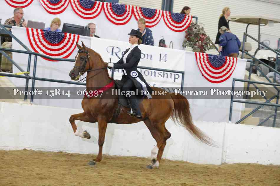 Proof 15R14_06337
