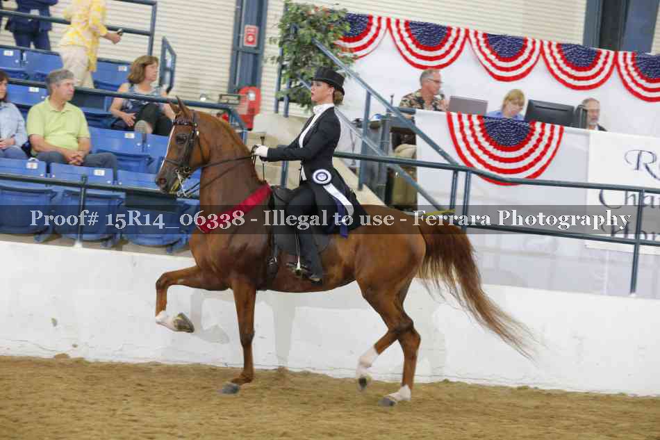 Proof 15R14_06338