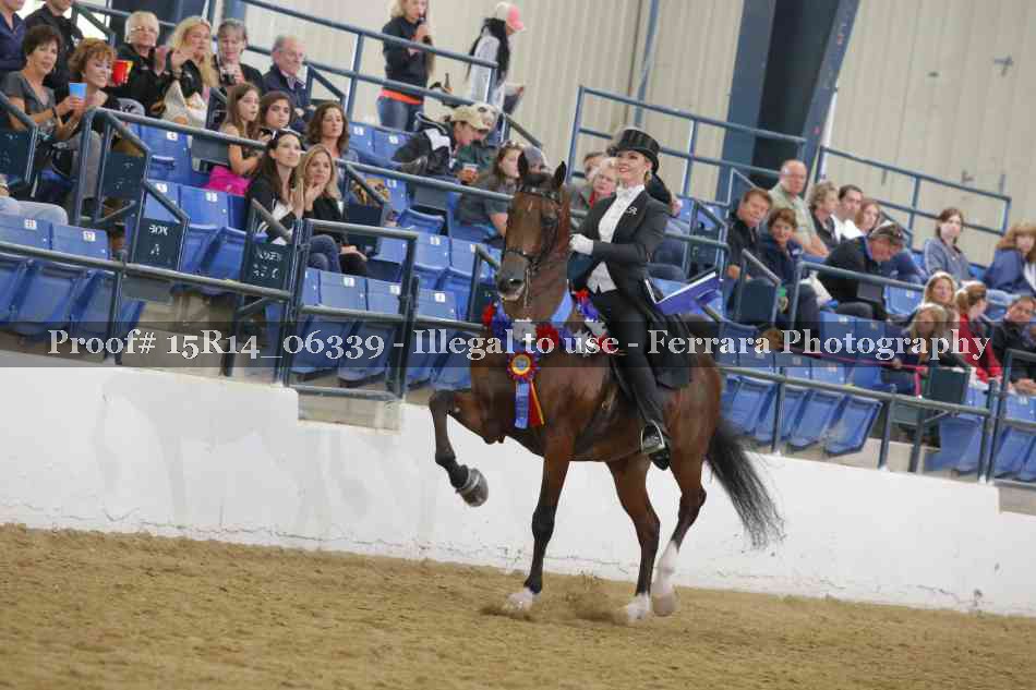 Proof 15R14_06339