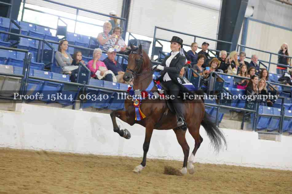 Proof 15R14_06340