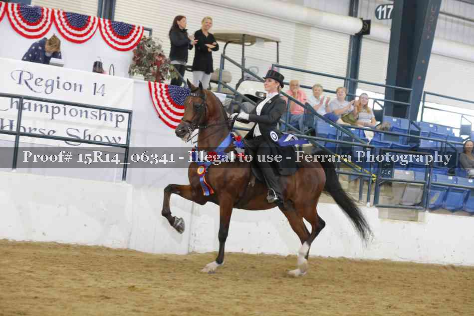 Proof 15R14_06341