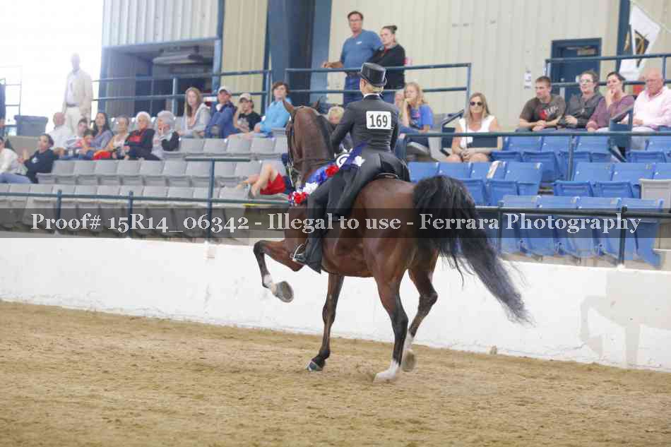 Proof 15R14_06342