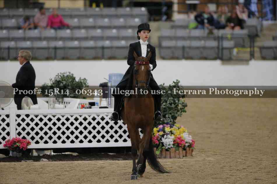 Proof 15R14_06343