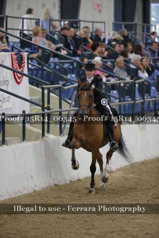 Proof 15R14_06345