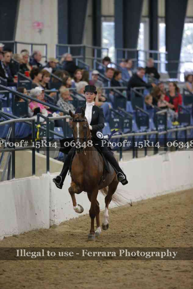 Proof 15R14_06348