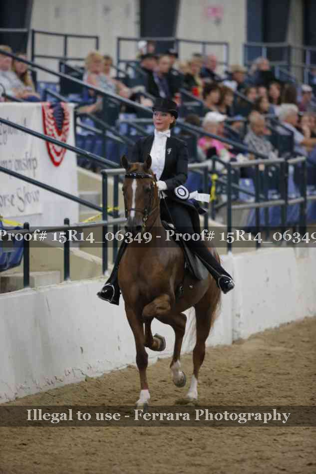 Proof 15R14_06349